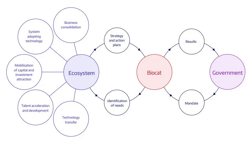 Example of bottom-up approach for innovation cluster 