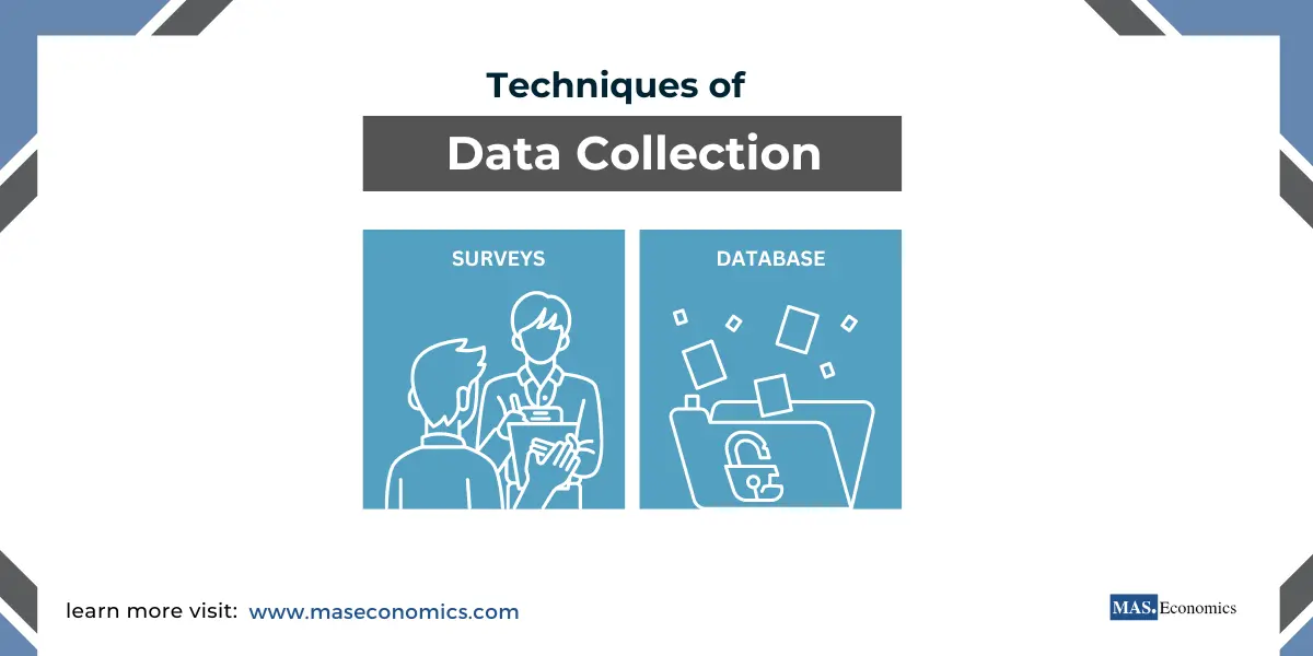 Data Collection Techniques in Economics