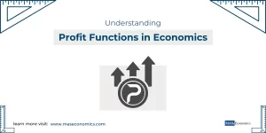 Profit Functions in Economics