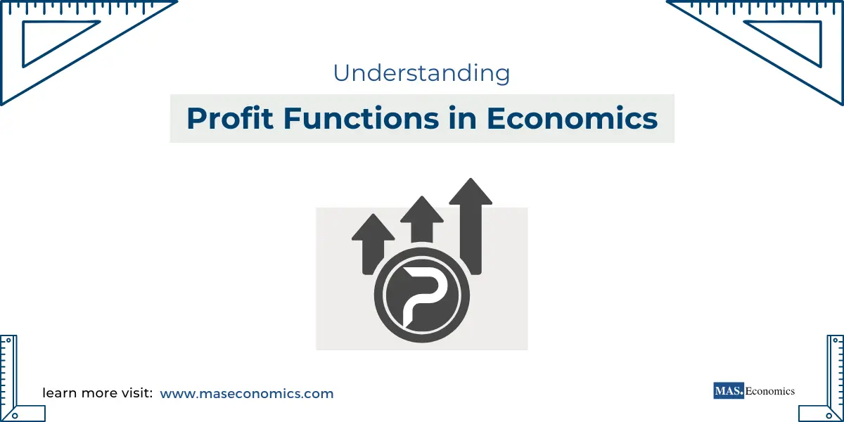 Profit Functions in Economics