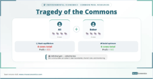 Tragedy of the Commons: Ali and Babar with cows; Nash equilibrium 8 cows profit 800, social optimum 6 cows profit 900.