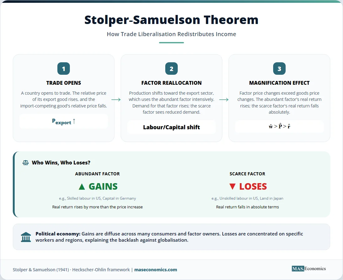 Stolper Samuelson theorem infographic showing trade liberalization steps factor reallocation and magnification effect on real wages and rents.

