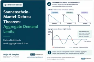 Sonnenschein-Mantel-Debreu theorem showing rational individual demands aggregating into a flexible market excess demand function.