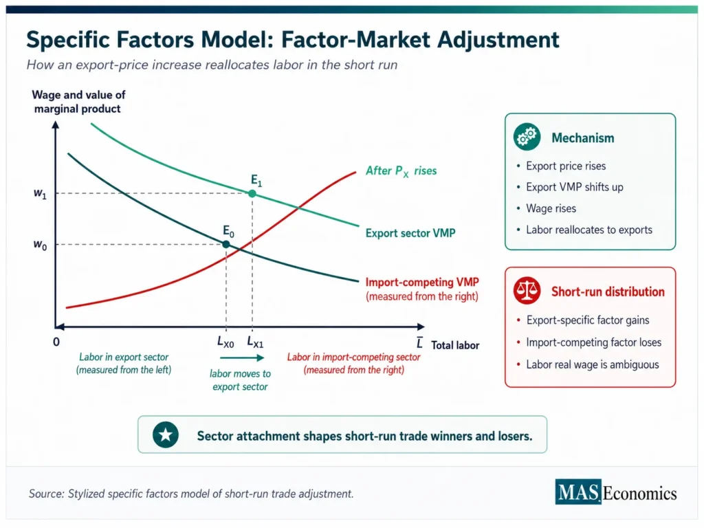 Inline diagram of the specific factors model showing an export-price increase shifting the export-sector value of marginal product upward, raising the wage, and reallocating labor toward the export sector.